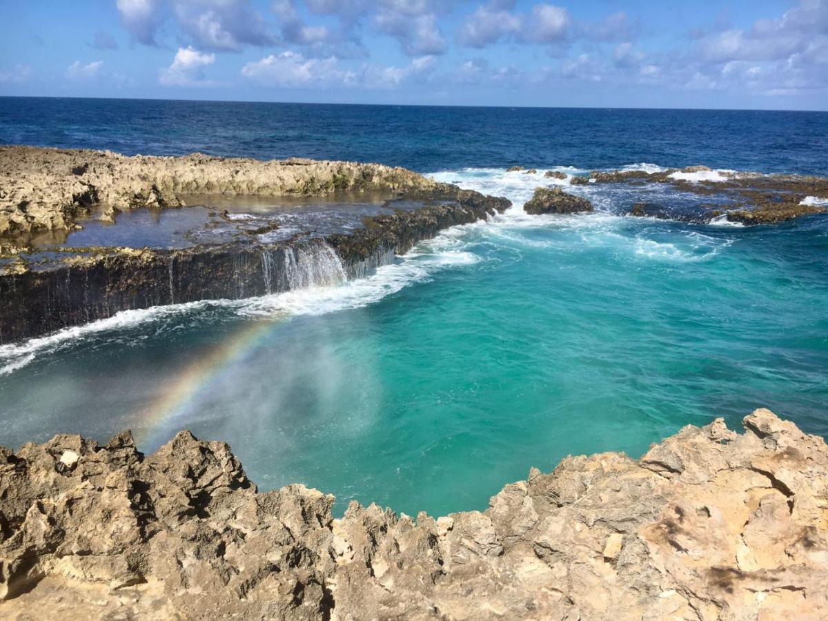 Palmita Hostel Aruba オラニエスタッド エクステリア 写真